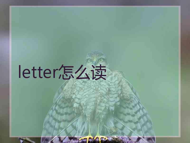 letter怎么读