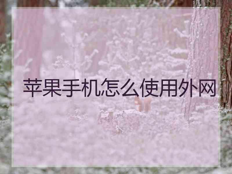 苹果手机怎么使用外网 苹果手机怎么使用外网