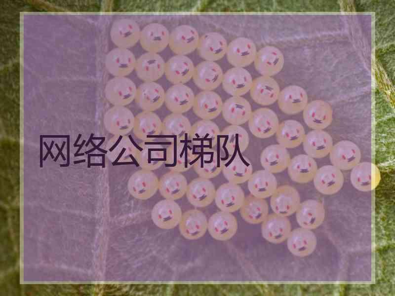 网络公司梯队 网络公司梯队