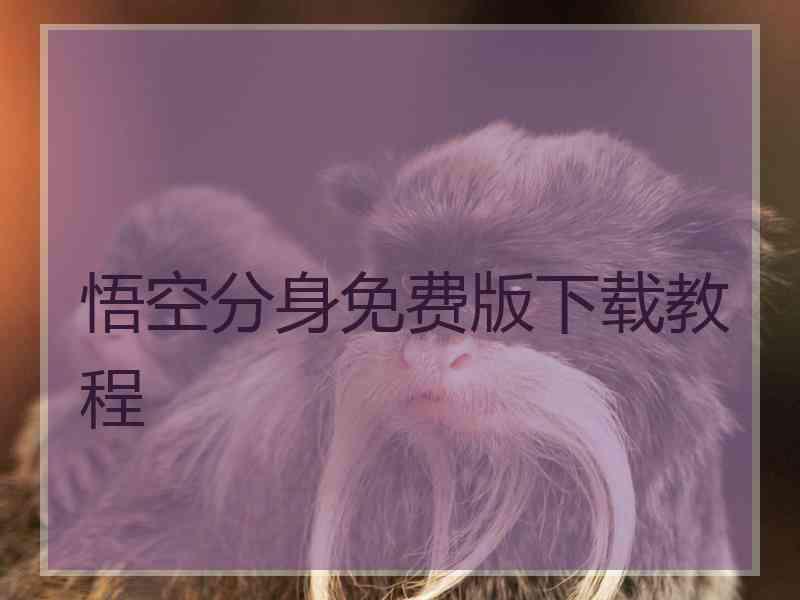 悟空分身免费版下载教程