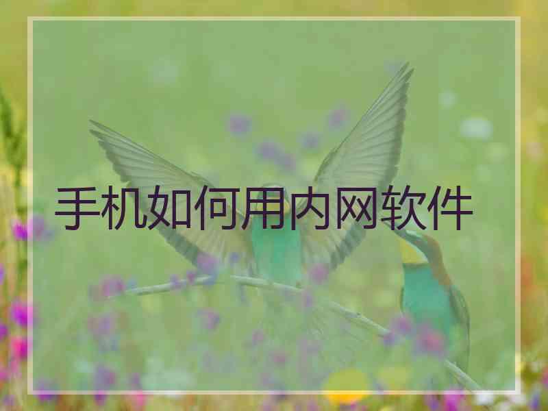 手机如何用内网软件