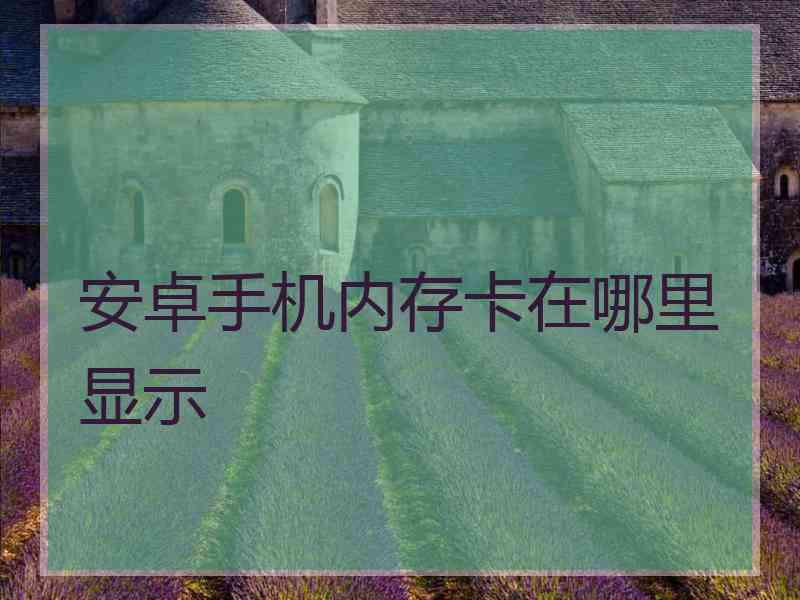 安卓手机内存卡在哪里显示