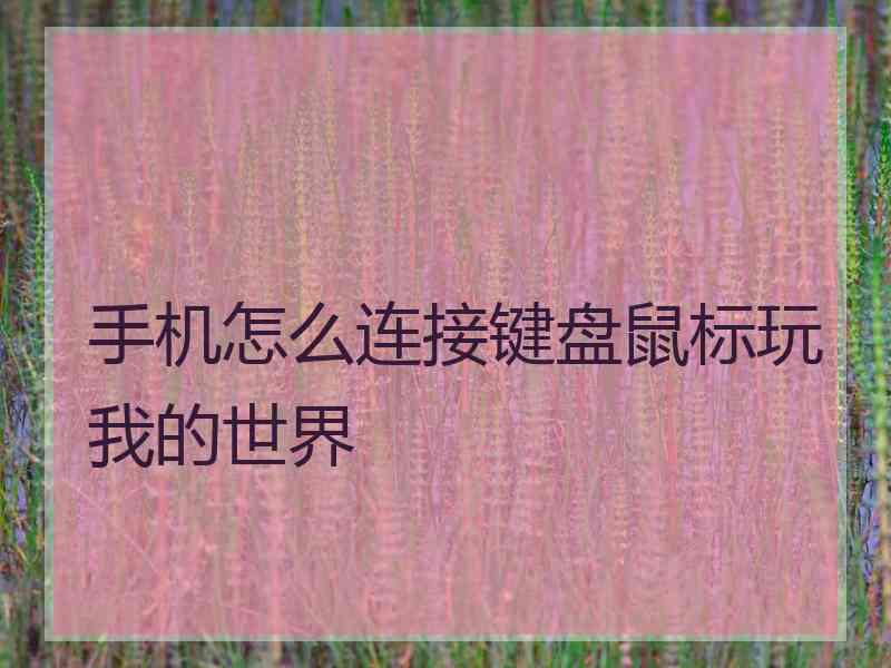 手机怎么连接键盘鼠标玩我的世界