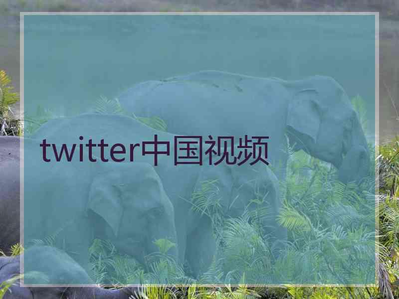 twitter中国视频