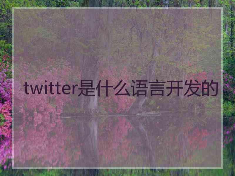 twitter是什么语言开发的
