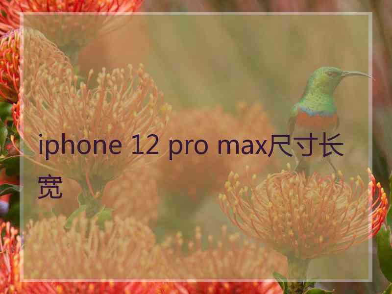 iphone 12 pro max尺寸长宽