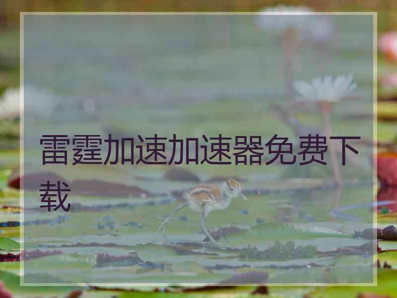 雷霆加速加速器免费下载