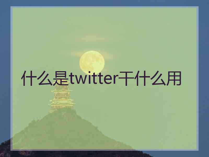 什么是twitter干什么用
