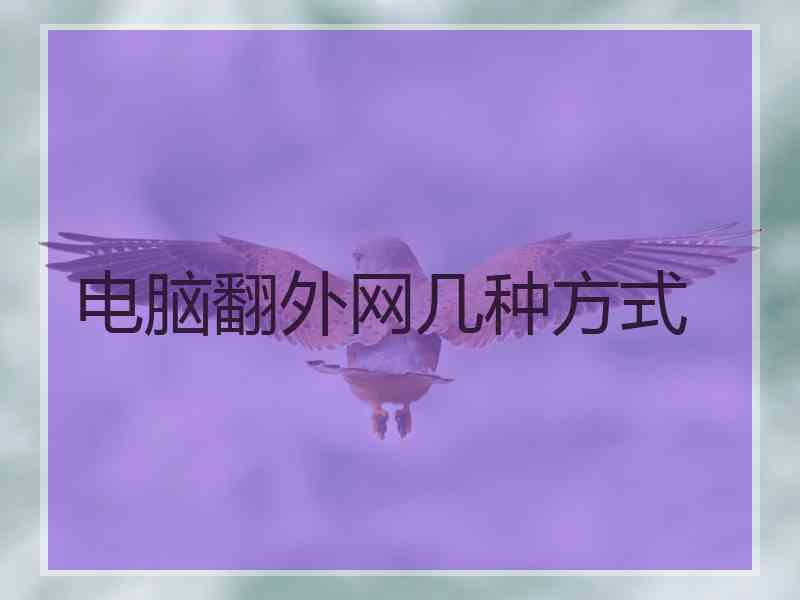 电脑翻外网几种方式