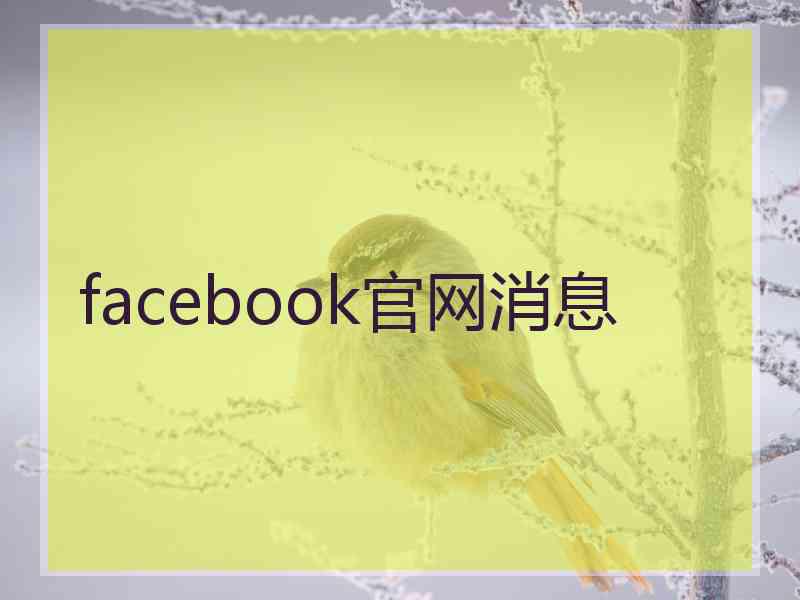 facebook官网消息