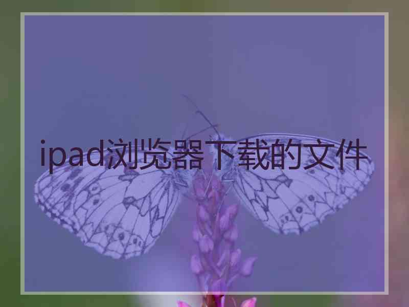 ipad浏览器下载的文件