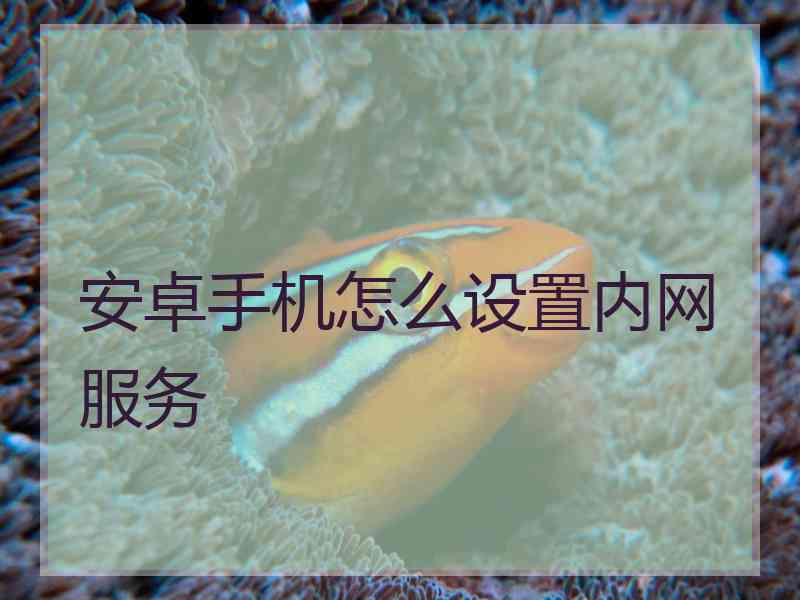 安卓手机怎么设置内网服务