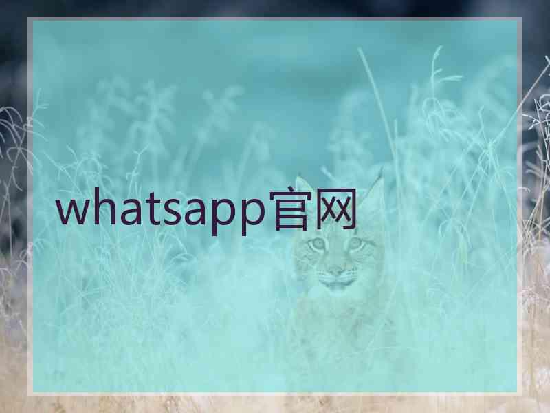 whatsapp官网