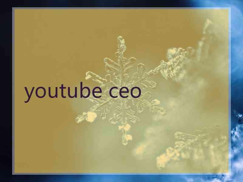 youtube ceo