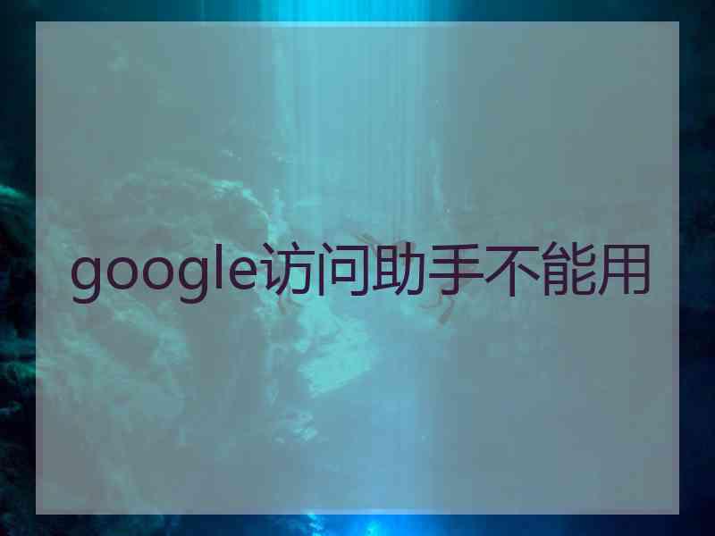 google访问助手不能用