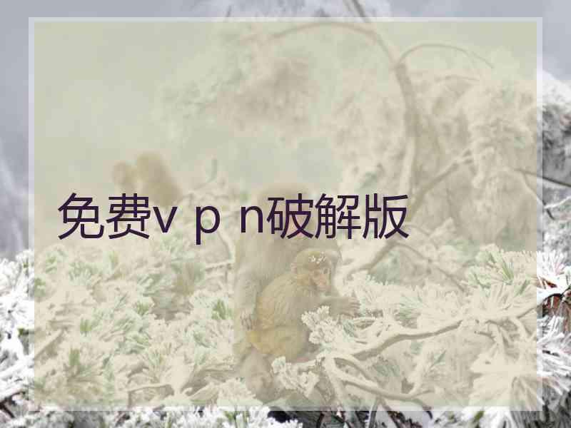 免费v p n破解版