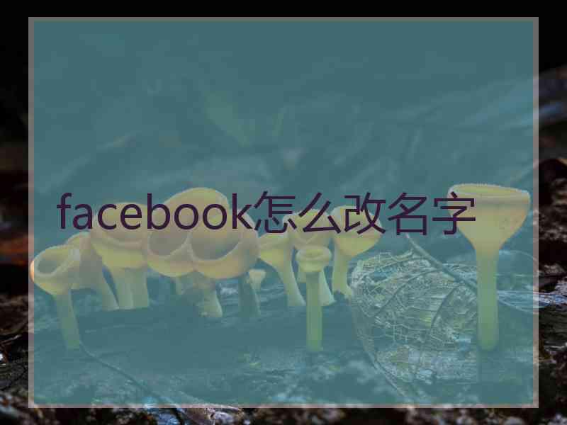 facebook怎么改名字