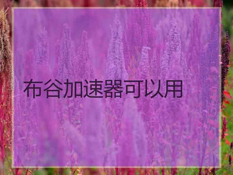 布谷加速器可以用