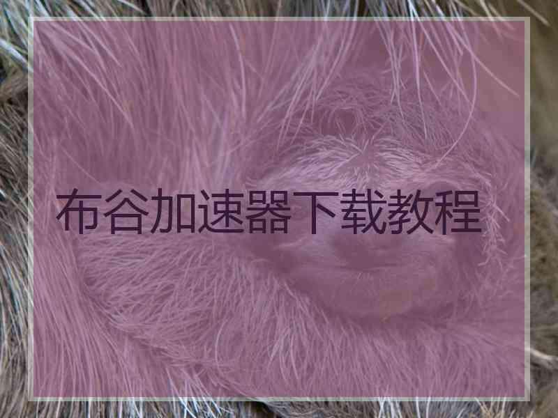 布谷加速器下载教程