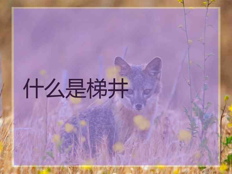 什么是梯井