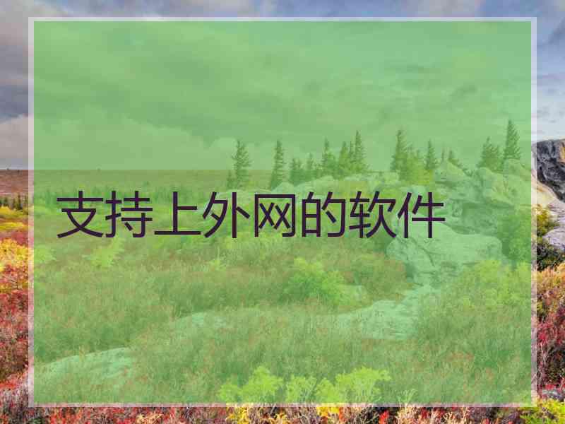 支持上外网的软件
