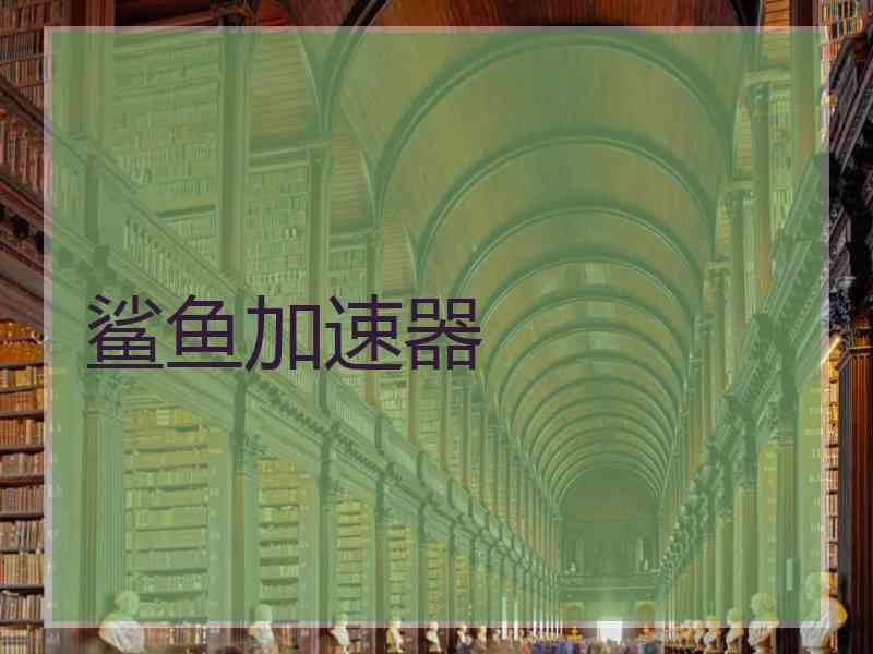 鲨鱼加速器