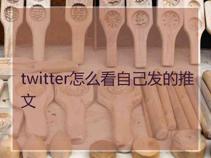 twitter怎么看自己发的推文