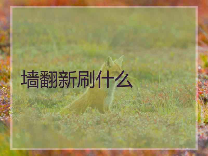 墙翻新刷什么