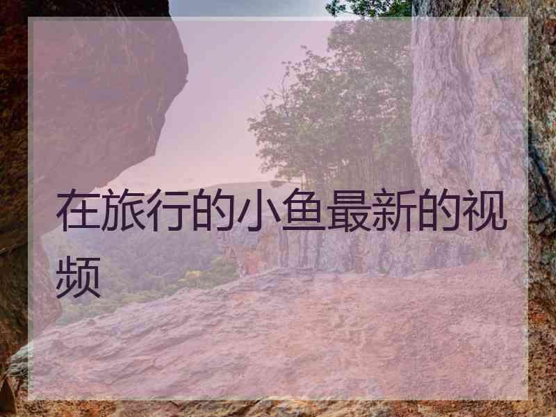 在旅行的小鱼最新的视频