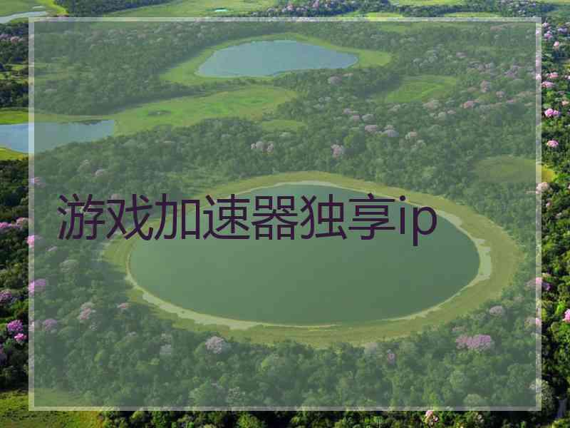 游戏加速器独享ip