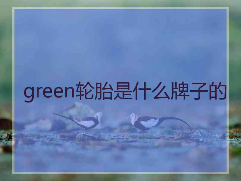 green轮胎是什么牌子的