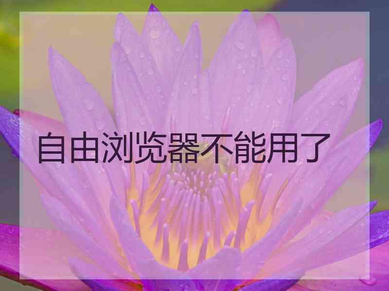 自由浏览器不能用了