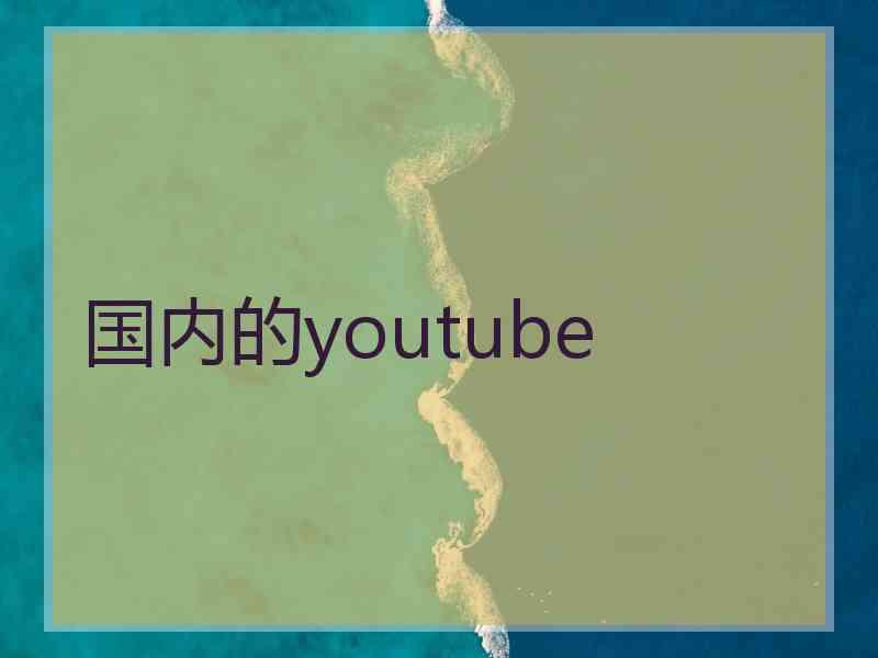 国内的youtube