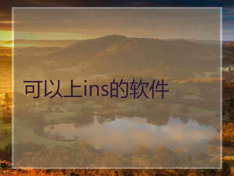 可以上ins的软件