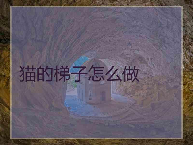 猫的梯子怎么做