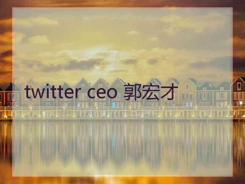 twitter ceo 郭宏才