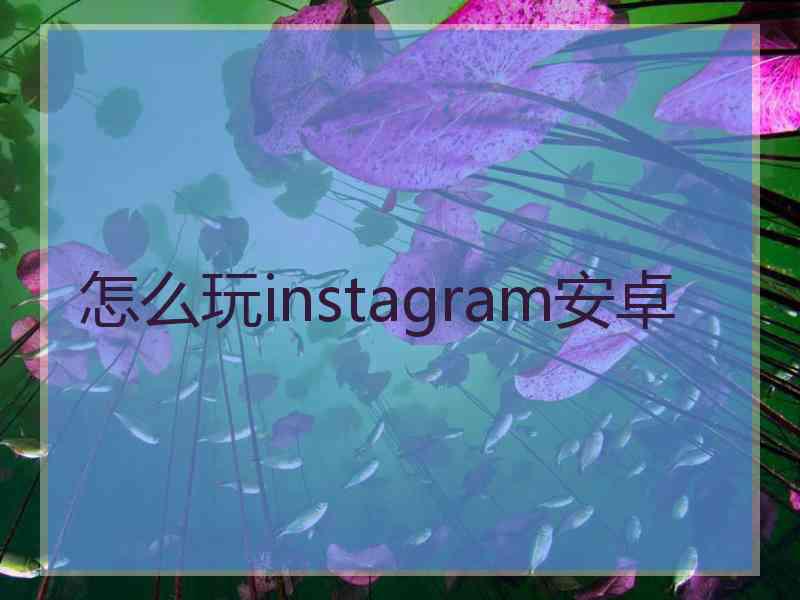 怎么玩instagram安卓