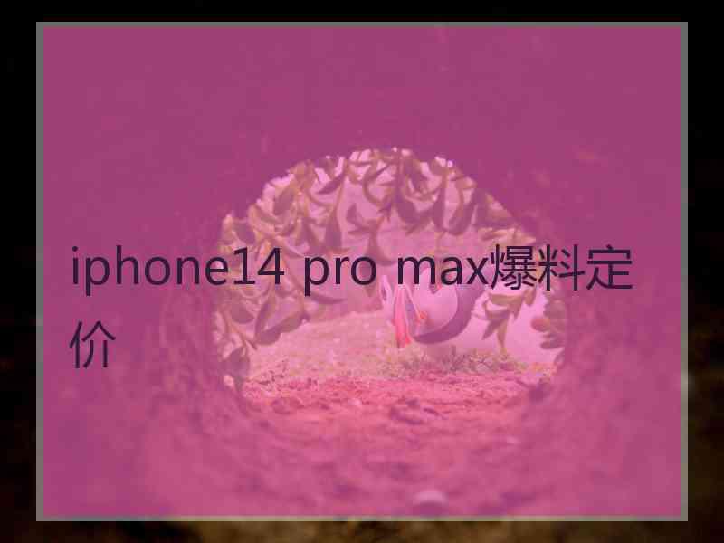 iphone14 pro max爆料定价
