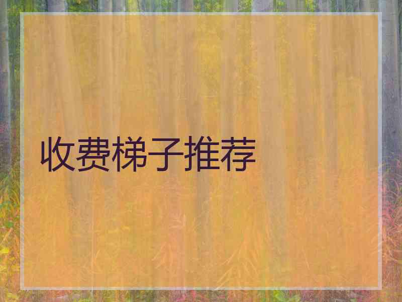收费梯子推荐
