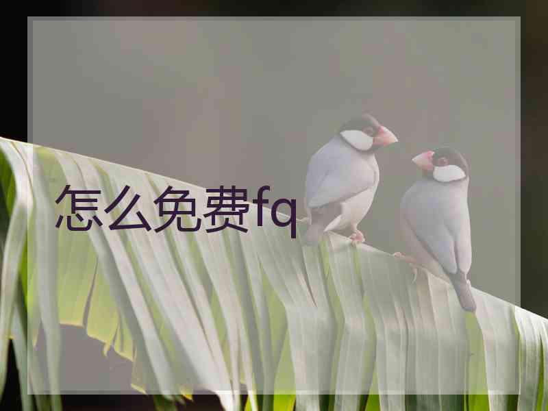 怎么免费fq