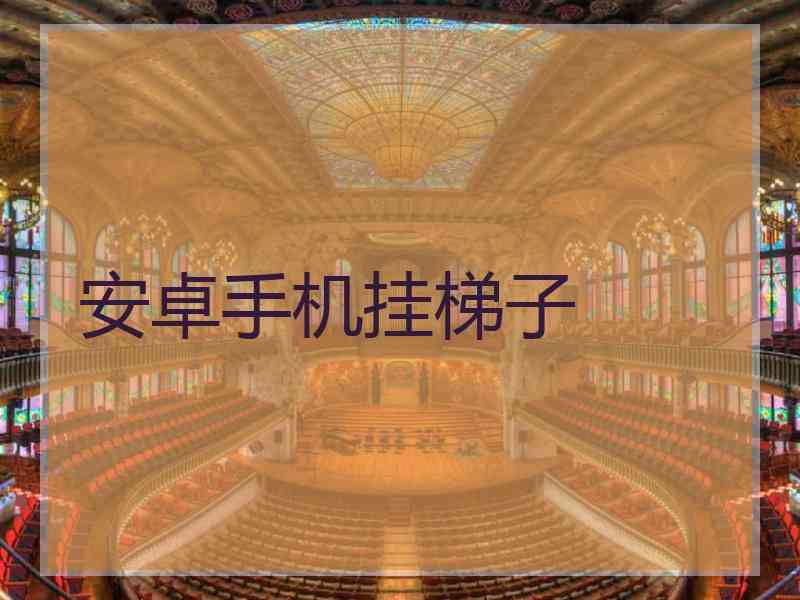 安卓手机挂梯子