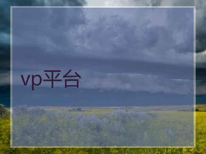 vp平台