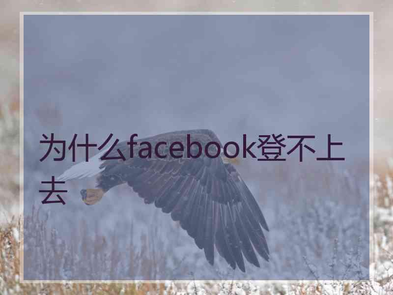为什么facebook登不上去