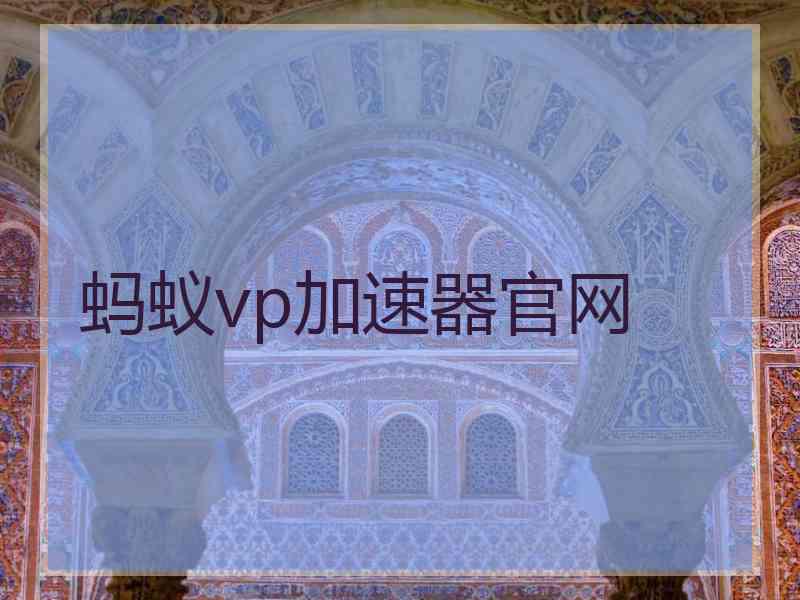 蚂蚁vp加速器官网