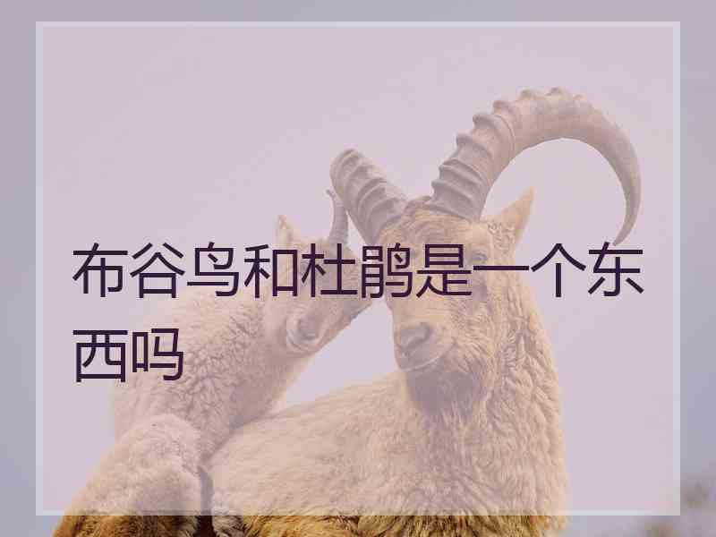 布谷鸟和杜鹃是一个东西吗