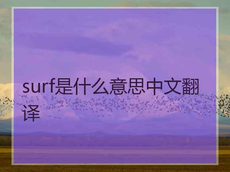 surf是什么意思中文翻译