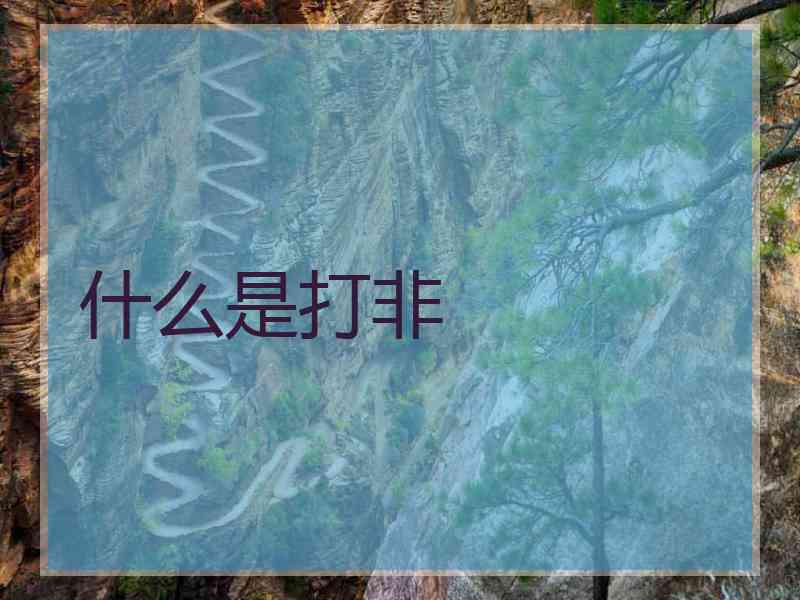 什么是打非