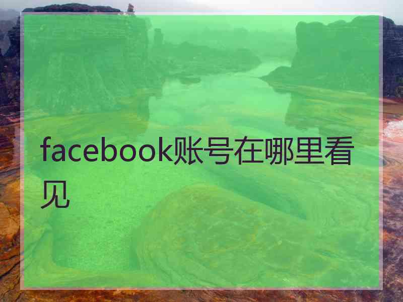 facebook账号在哪里看见