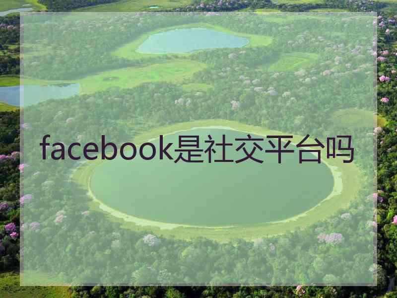 facebook是社交平台吗