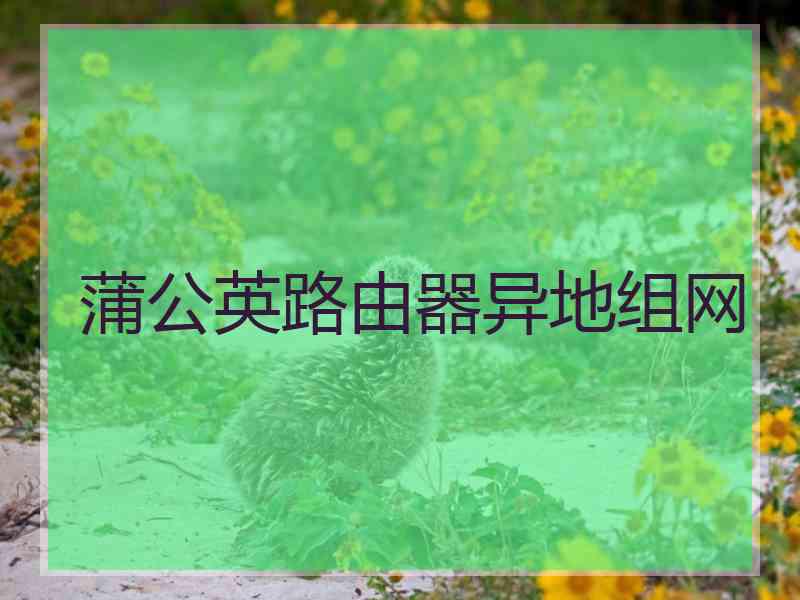 蒲公英路由器异地组网